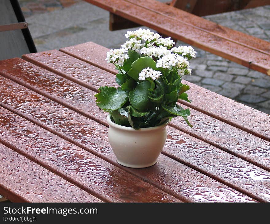 Coffee table with flowers