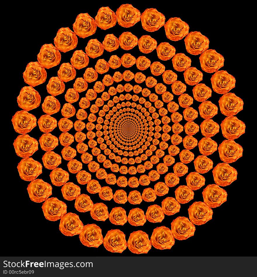 An abstract illustration. Concentric circles from colors the roses leaving in infinity. Absolutely black background. An abstract illustration. Concentric circles from colors the roses leaving in infinity. Absolutely black background.