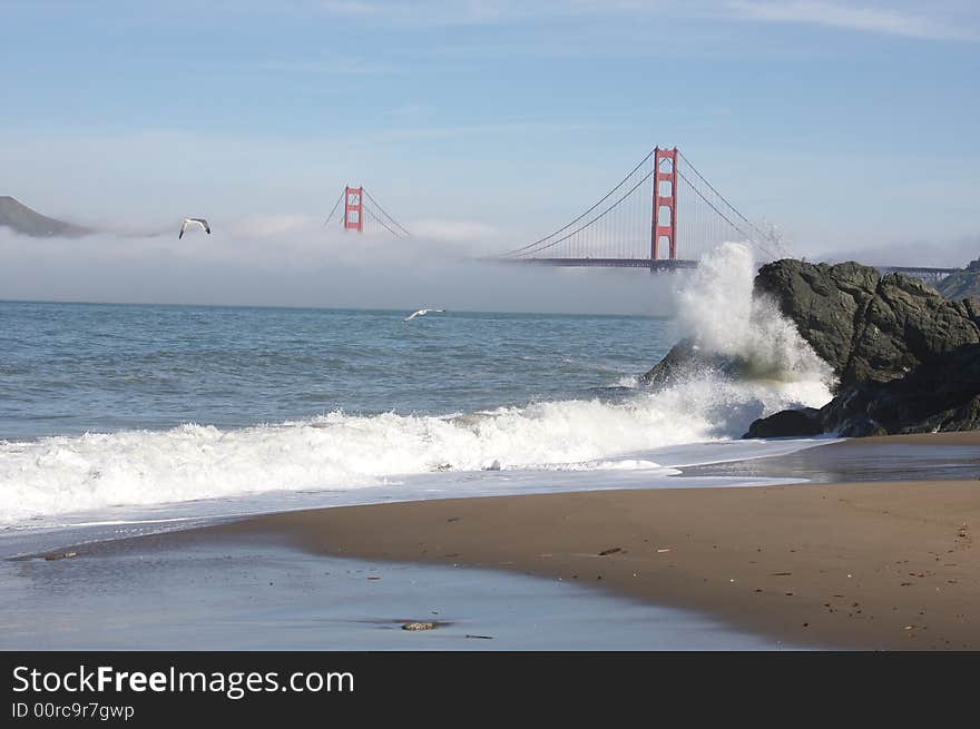 The Golden Gate Bridge in the Morning Fog