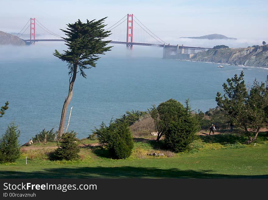 The Golden Gate Bridge in the Morning Fog