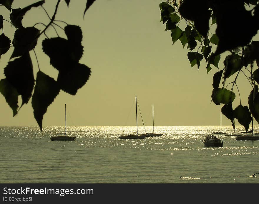 Yachts on parking in Taganrog yachts - club. Yachts on parking in Taganrog yachts - club