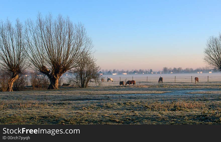 A Range In A Sunny Morning