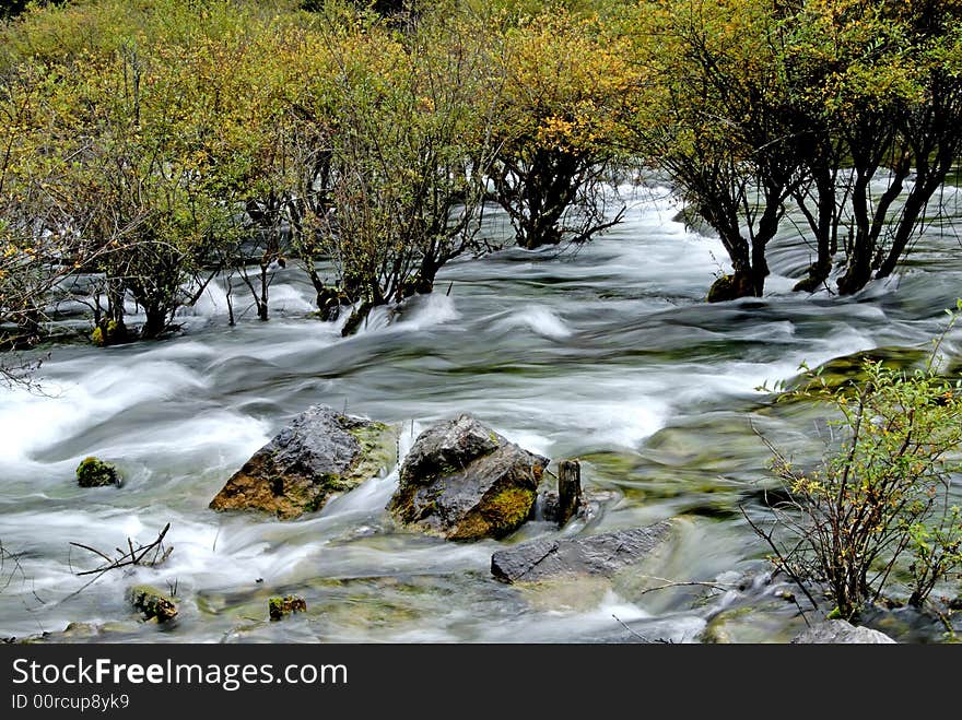 Swampside water flow slow speed