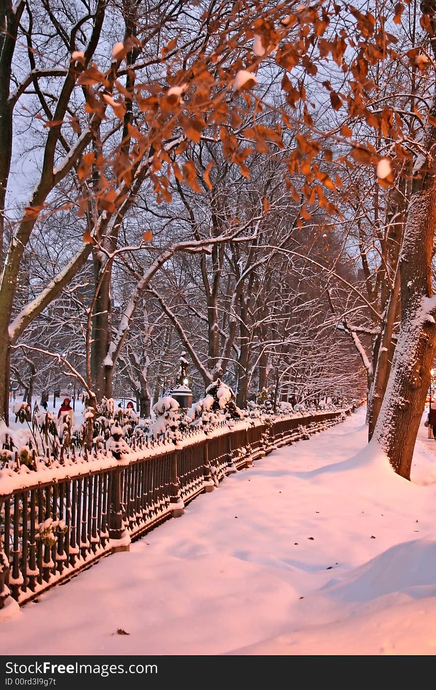 Stock image of a snowing winter at Boston, Massachusetts, USA. Stock image of a snowing winter at Boston, Massachusetts, USA