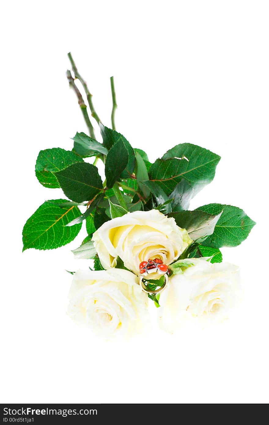 Three roses with ring on a white background (isolated). Three roses with ring on a white background (isolated)