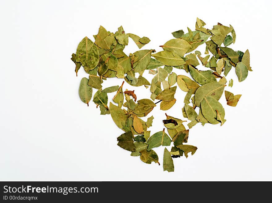 Dry bay leafs on white. Dry bay leafs on white.