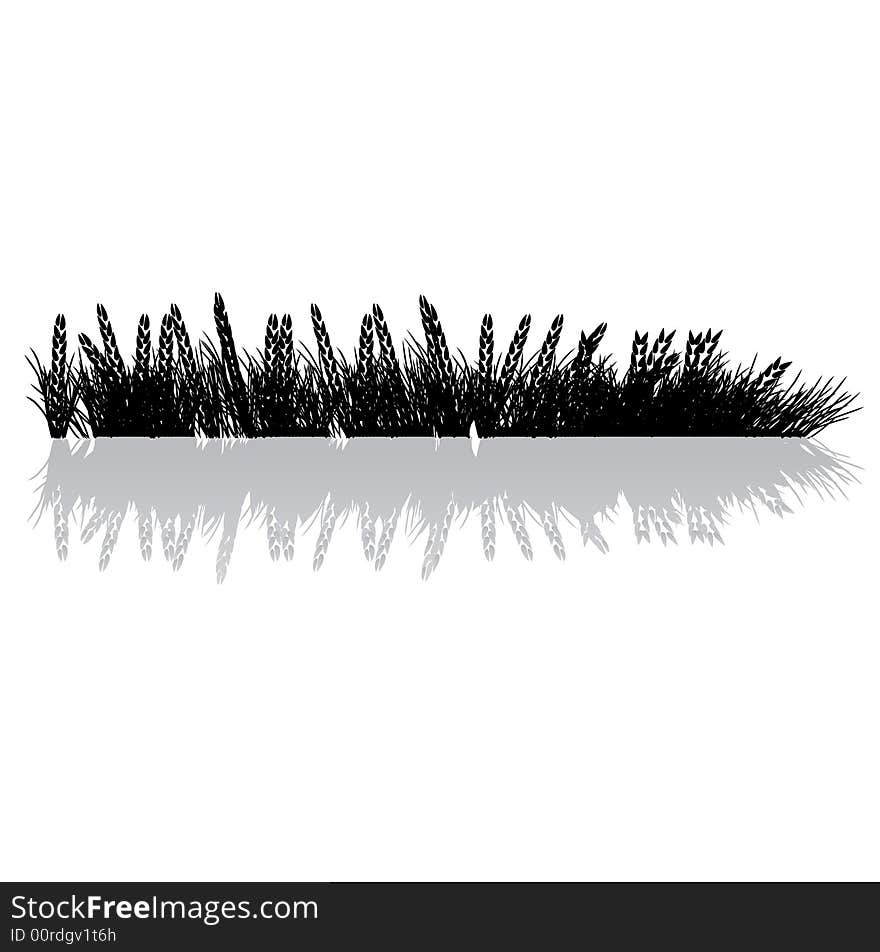 Grass silhouette black, wheat, vector illustration