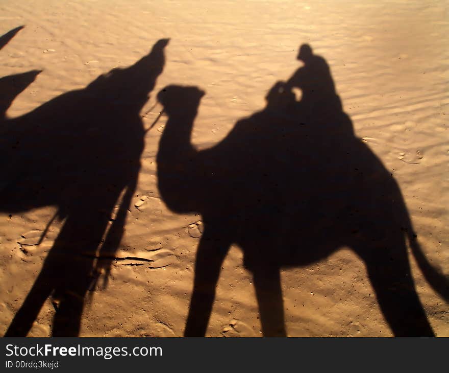 The Shadow From Camels