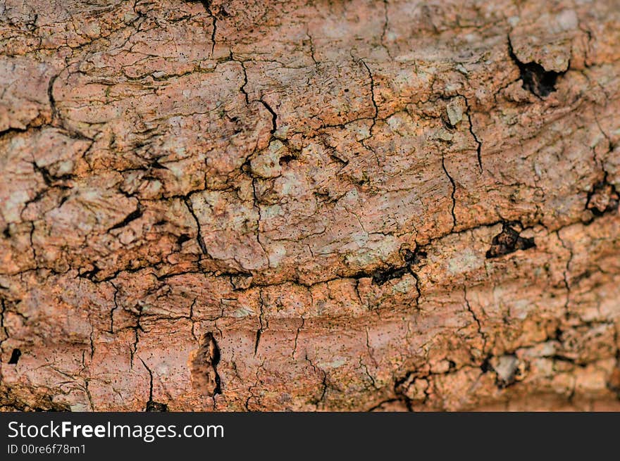 Wood Textures as a background. Wood Textures as a background