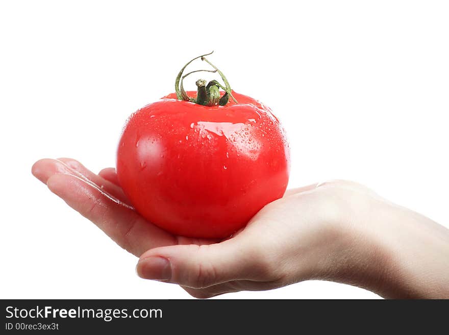 Hand and tomato