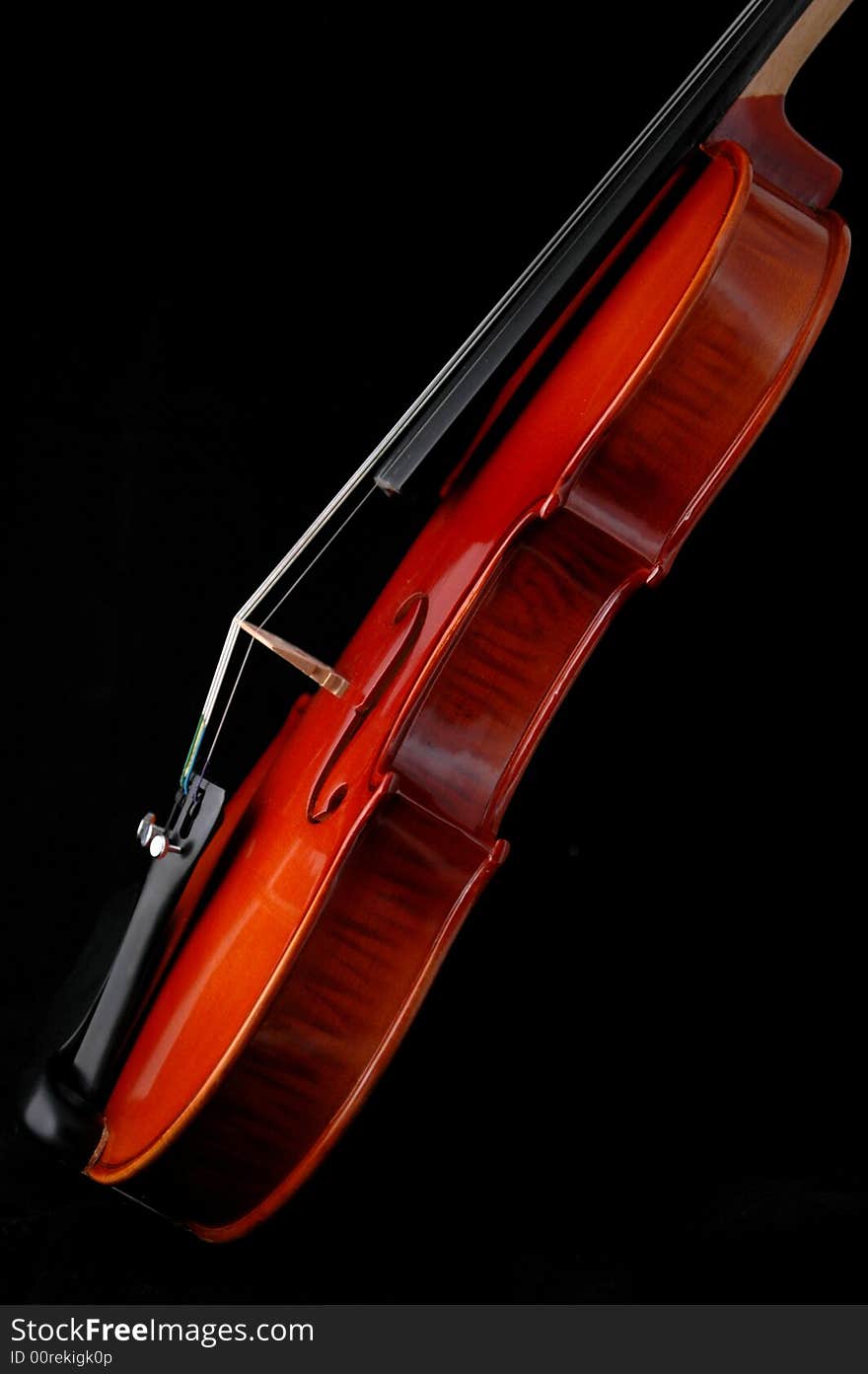 Violin