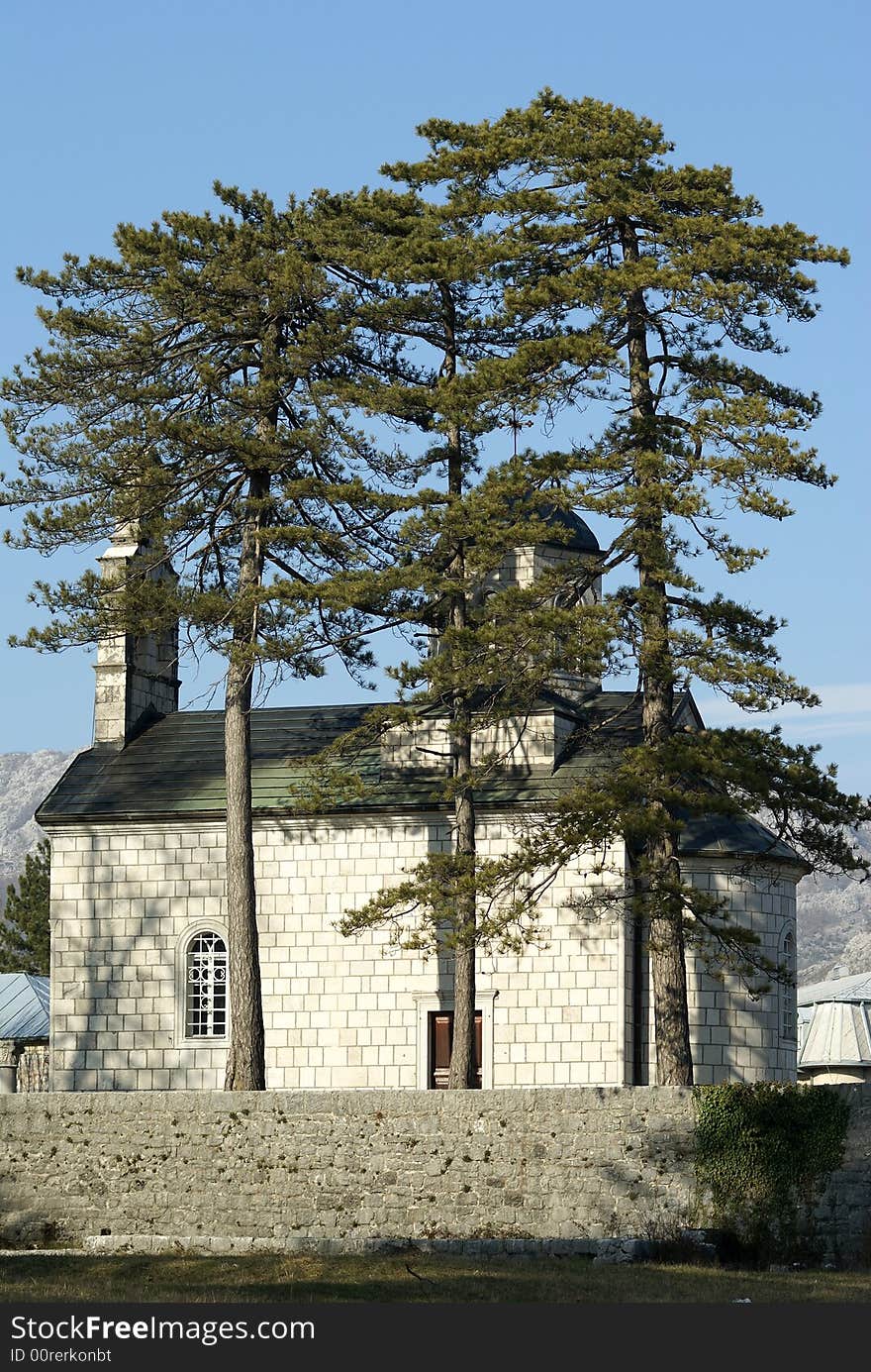 Small orthodox church  behind of the three pine-tree