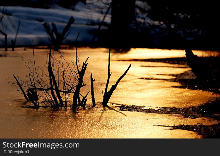 Branch in the ice river, in the bank, white snow covered. And the ice refect the color of the sunset, golden color