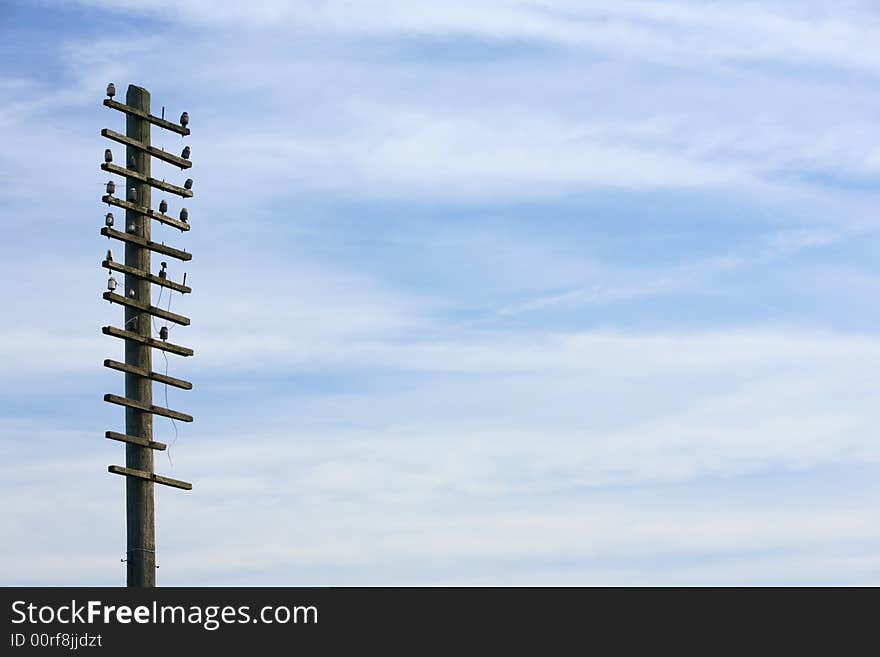 Broken down old telegraph line background image with copy space. Broken down old telegraph line background image with copy space