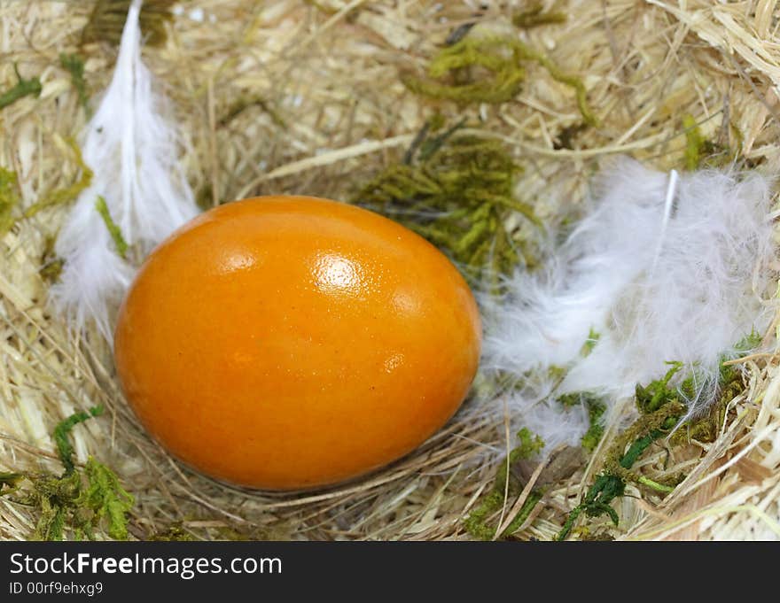 Colored easter egg in nest