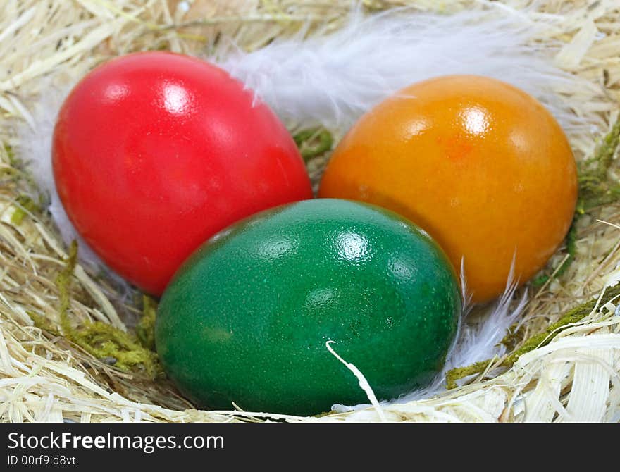 Colored easter eggs in nest