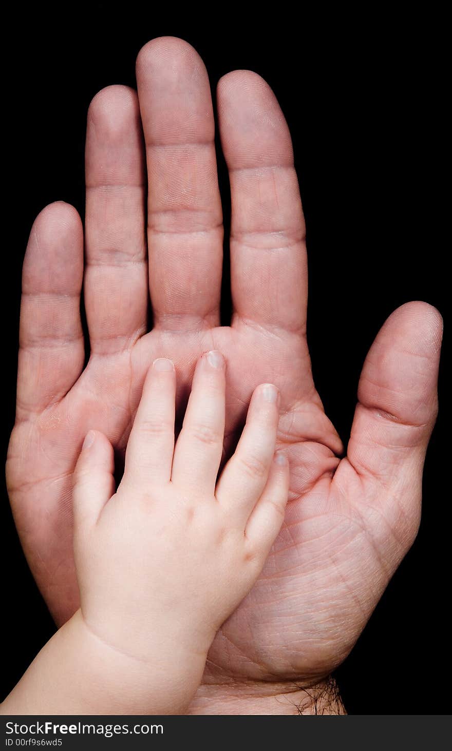 Two hands with father and his baby son. Two hands with father and his baby son