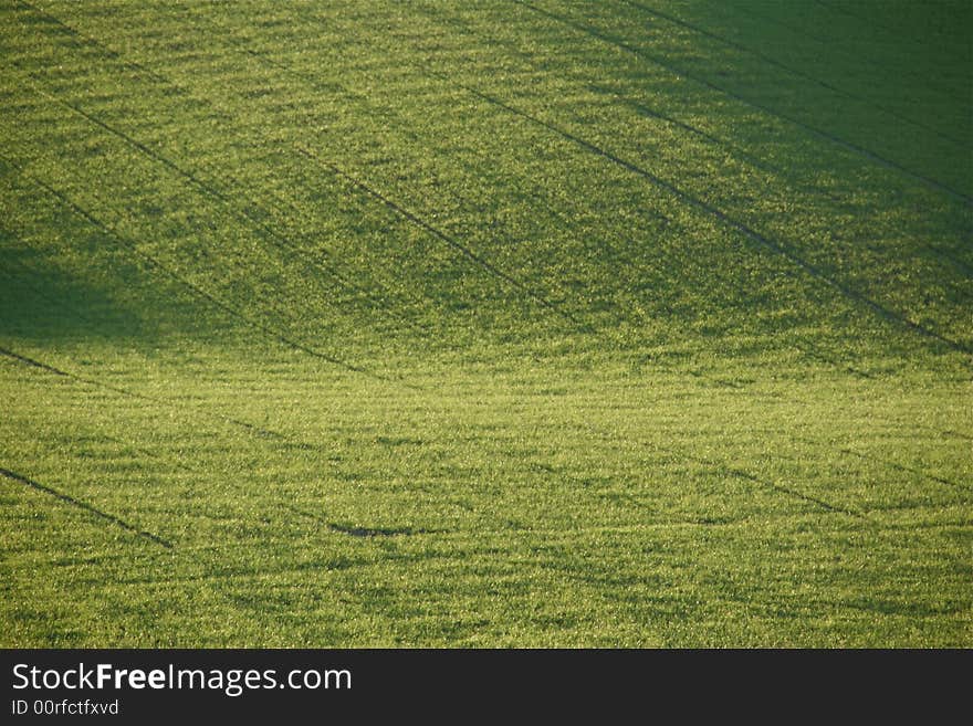 Green valley. Grass field in early spring. Green valley. Grass field in early spring