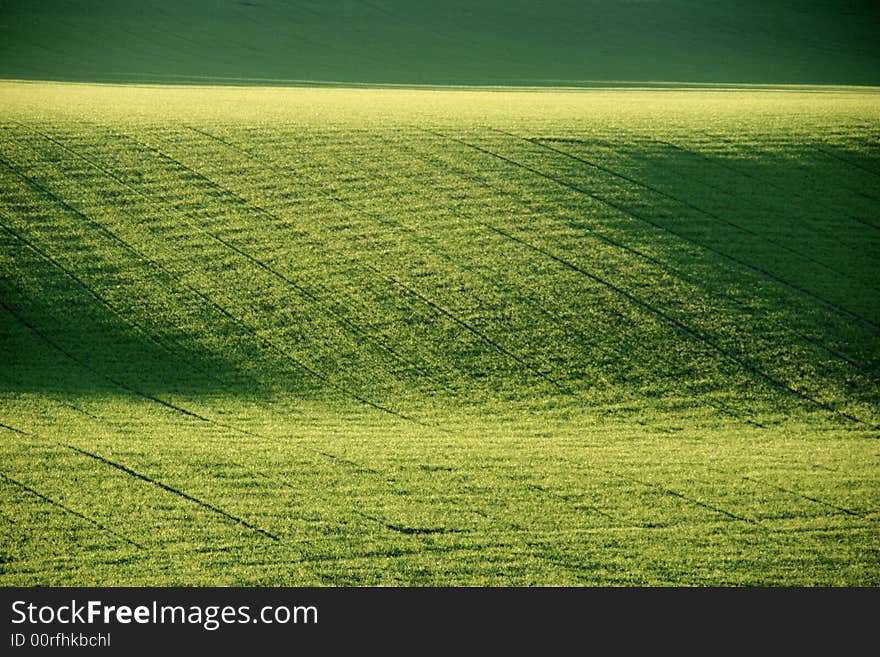 Green hillside field on a farm. Green hillside field on a farm