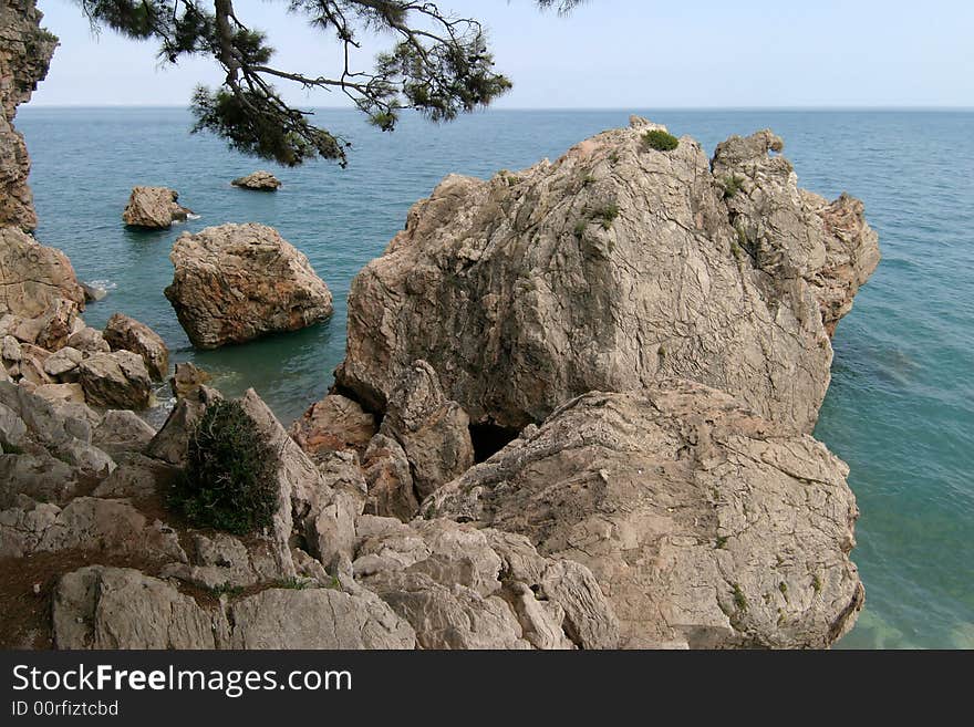 Pines on rocks and a sea landscape in the afternoon