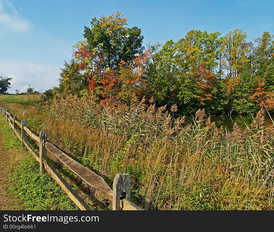 A Fall meadow along a fence and lake at a state park in Central New Jersey. A Fall meadow along a fence and lake at a state park in Central New Jersey.