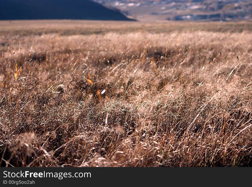 Taken at sunset in grassland on inner Mongolia, China