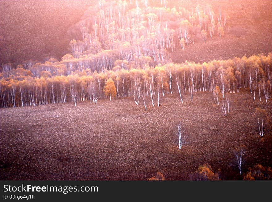 Taken in grassland on inner Mongolia, China on sunrise. Taken in grassland on inner Mongolia, China on sunrise