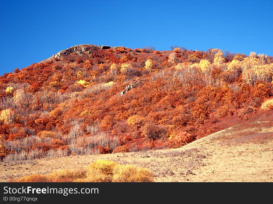 Hill In Autumn