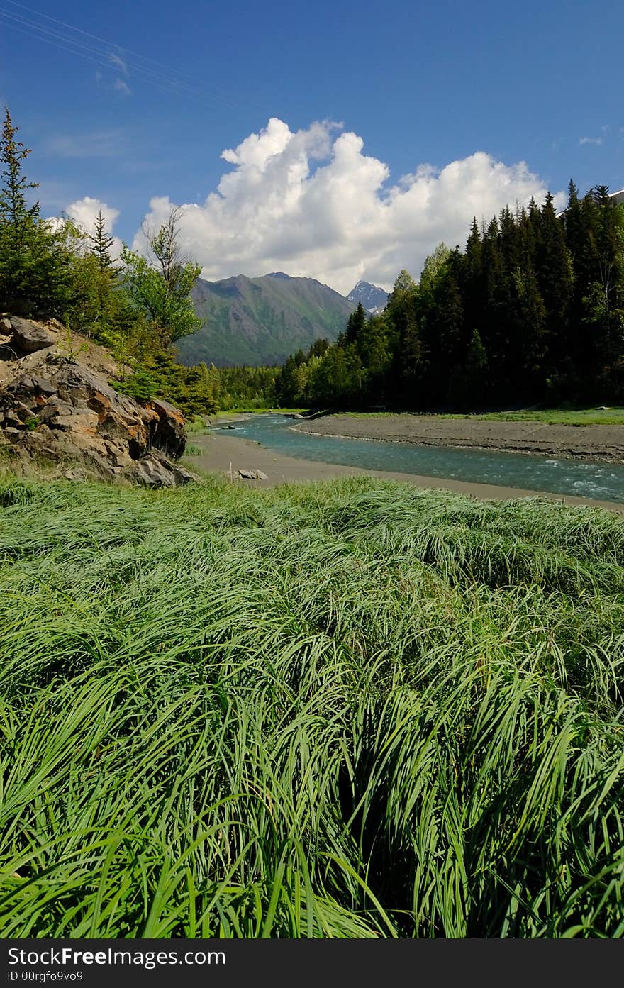 Grass,stream and mountains, Alaska