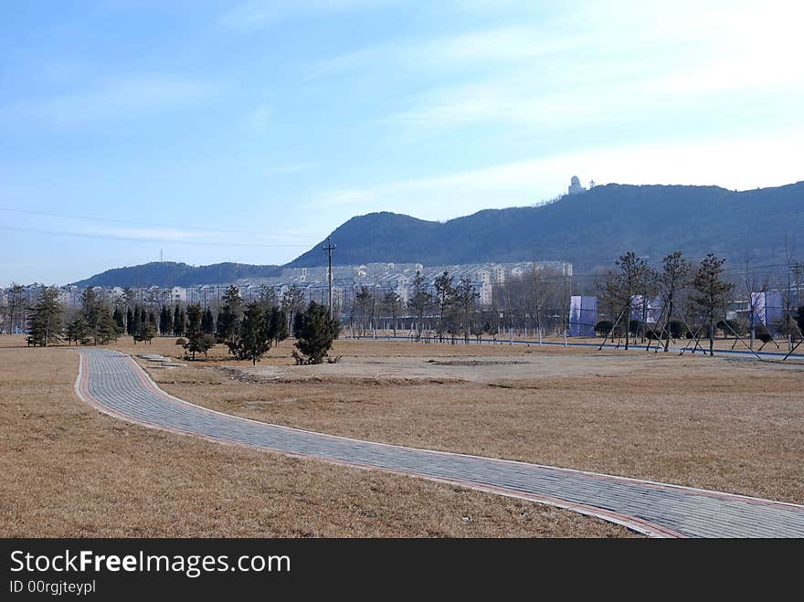 Scene of a new forest park in dalian. Scene of a new forest park in dalian