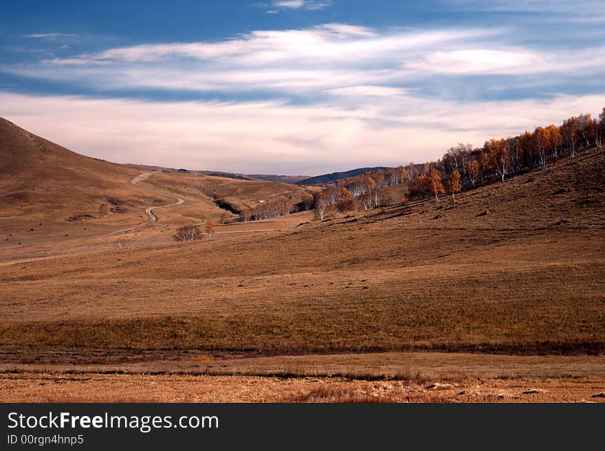 Sky And Grassland