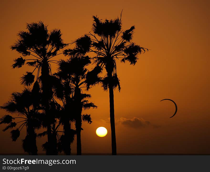 Sun setting at Venice beach Los Angelos showing silhouettes of palmtrees and a kite surfer. Sun setting at Venice beach Los Angelos showing silhouettes of palmtrees and a kite surfer