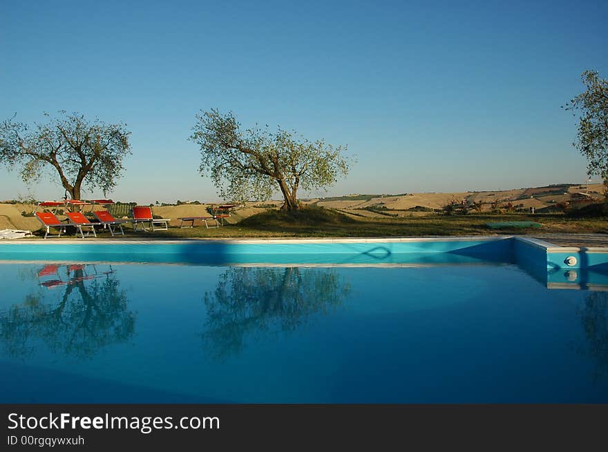 A beautifull outdoor swimming pool surrounded by Olive trees