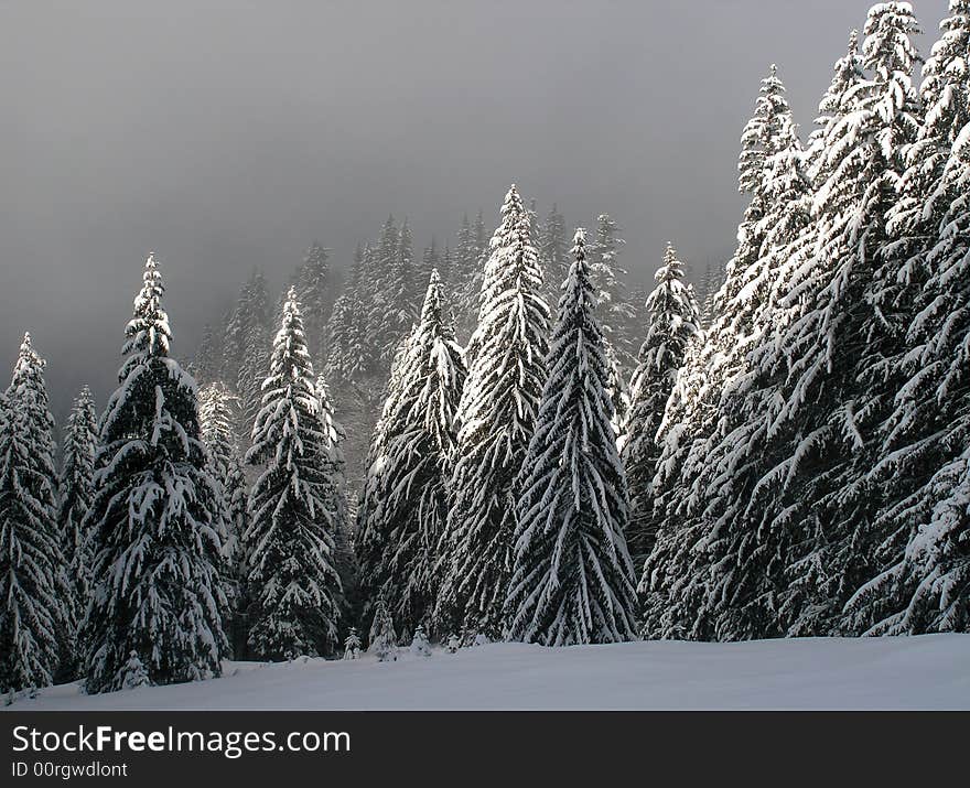 Foggy day in Bucegi mountains. Foggy day in Bucegi mountains