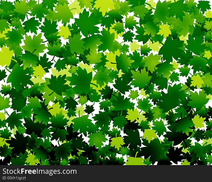 Fresh green leaves on white background