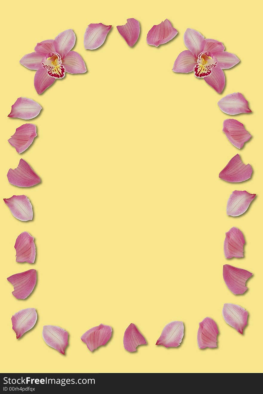 Orchid Arch Border Yellow