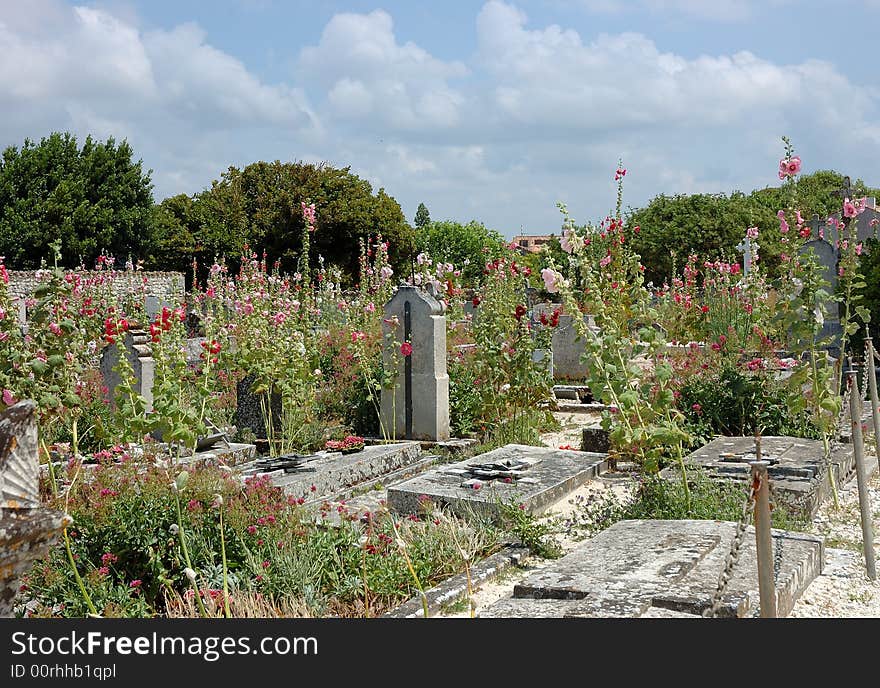 Old cemetery