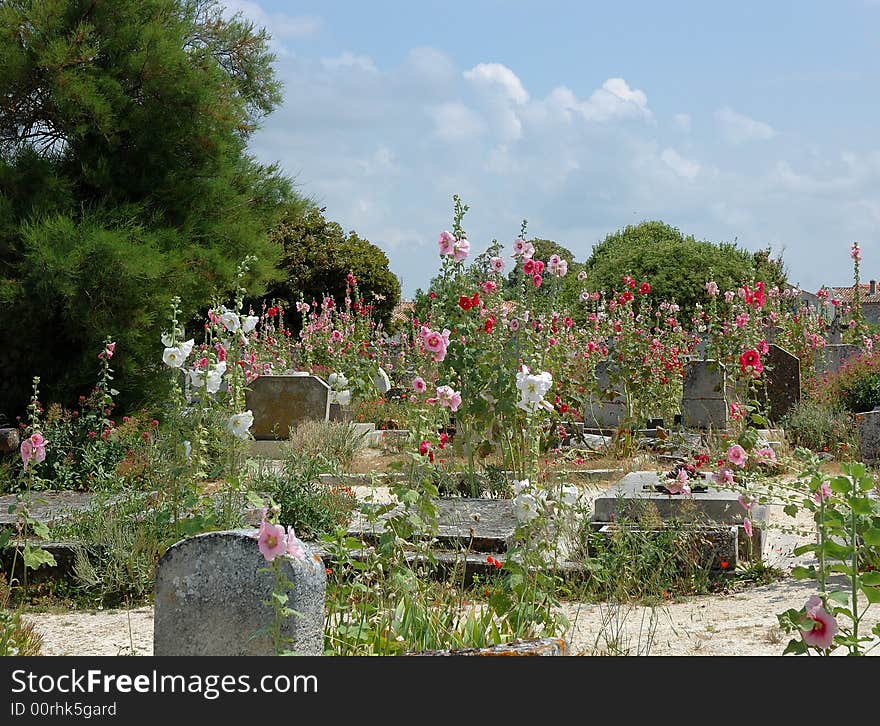 Old Cemetery