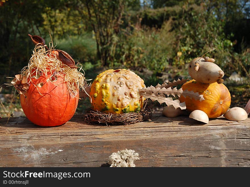 Autumn autostill-life with pumpkins