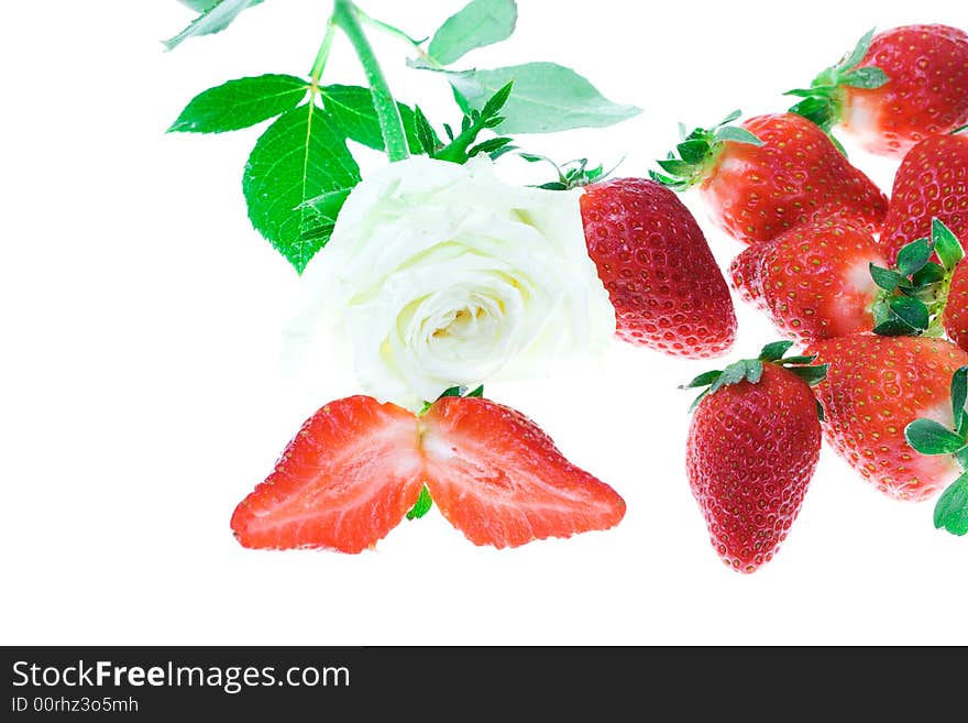 Rose and strawberry on a white background