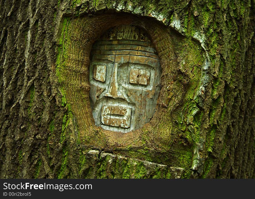 A face graved into a tree