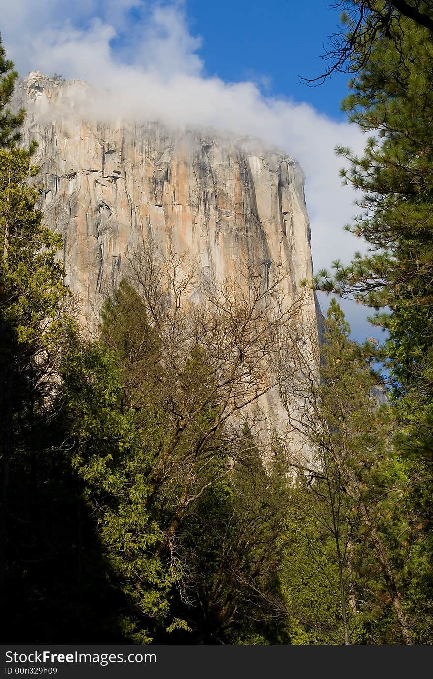 El Capitan in fog, Yosemite Valley National Park