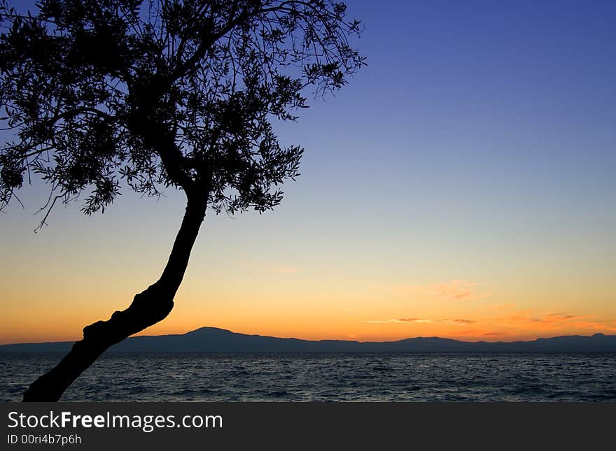 Image shows the silhouette of an inclined shoreline tree against a romantic mediterranean dusky sky. Image shows the silhouette of an inclined shoreline tree against a romantic mediterranean dusky sky