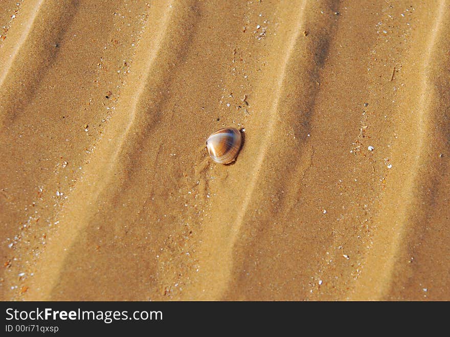 The  sand beach of Changxingdao in winter. The  sand beach of Changxingdao in winter