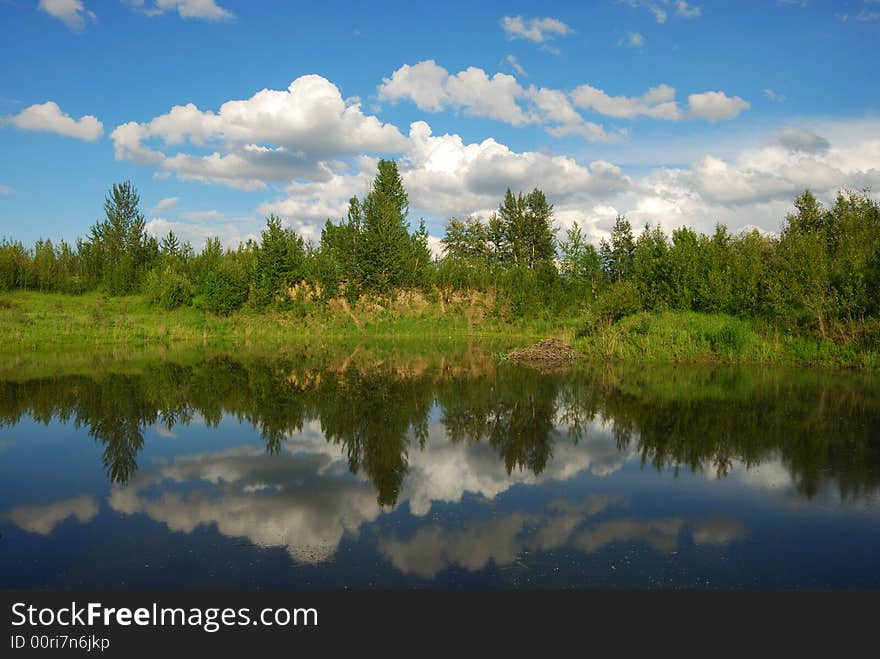 The shadow of clouds, sky and tree in lake. The shadow of clouds, sky and tree in lake