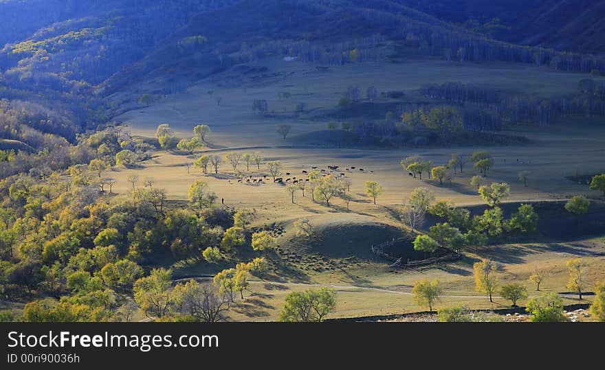 Grass land in china far away from big cities little people little polution. Grass land in china far away from big cities little people little polution