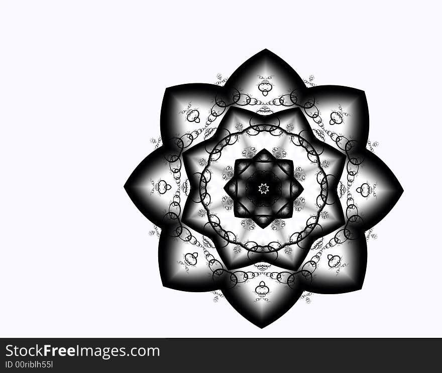 Black Star Flower