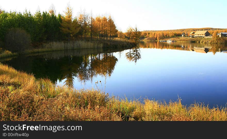 Lake and trees