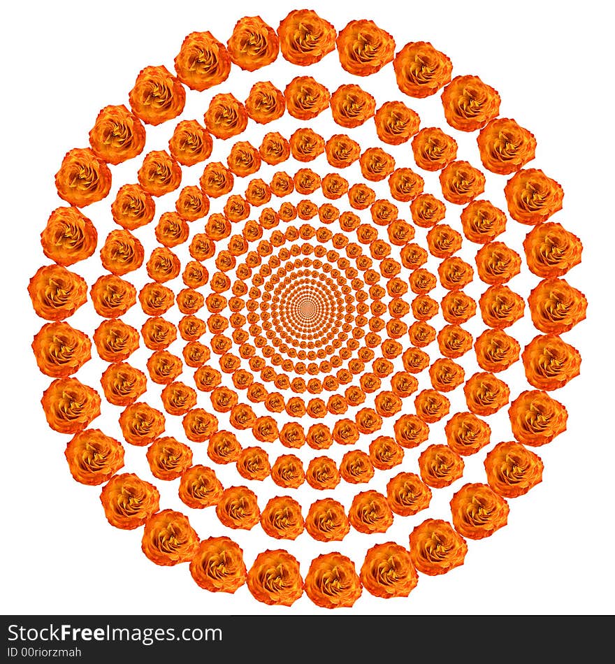 An abstract illustration. Concentric circles from colors the roses leaving in infinity. A pure white background. An abstract illustration. Concentric circles from colors the roses leaving in infinity. A pure white background.