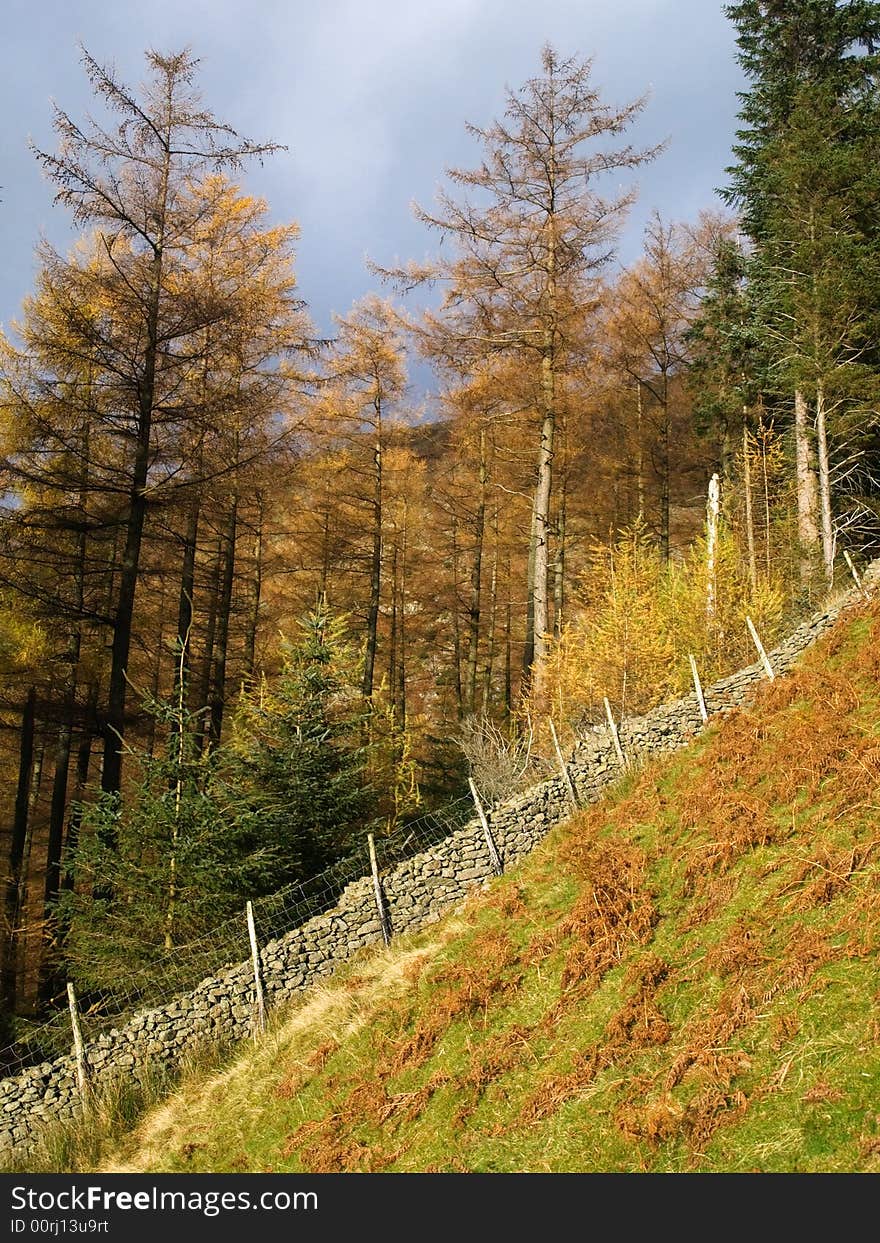 Steep footpath from Thirlmere up Helvellyn in the Lake District, UK. Steep footpath from Thirlmere up Helvellyn in the Lake District, UK